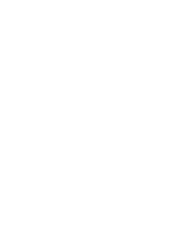 New York News Daily